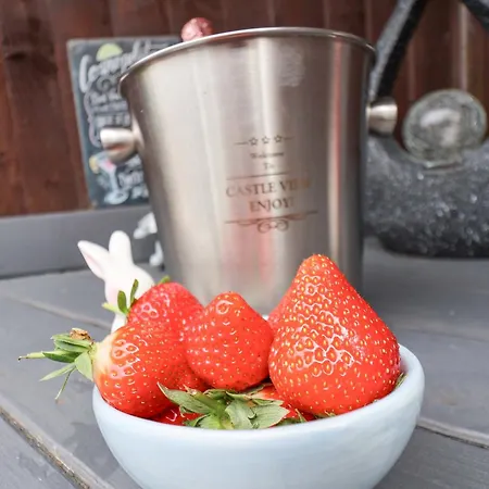 Castle View Tatil Evi Scarborough