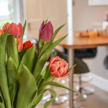 Prázdninový dům Castle View